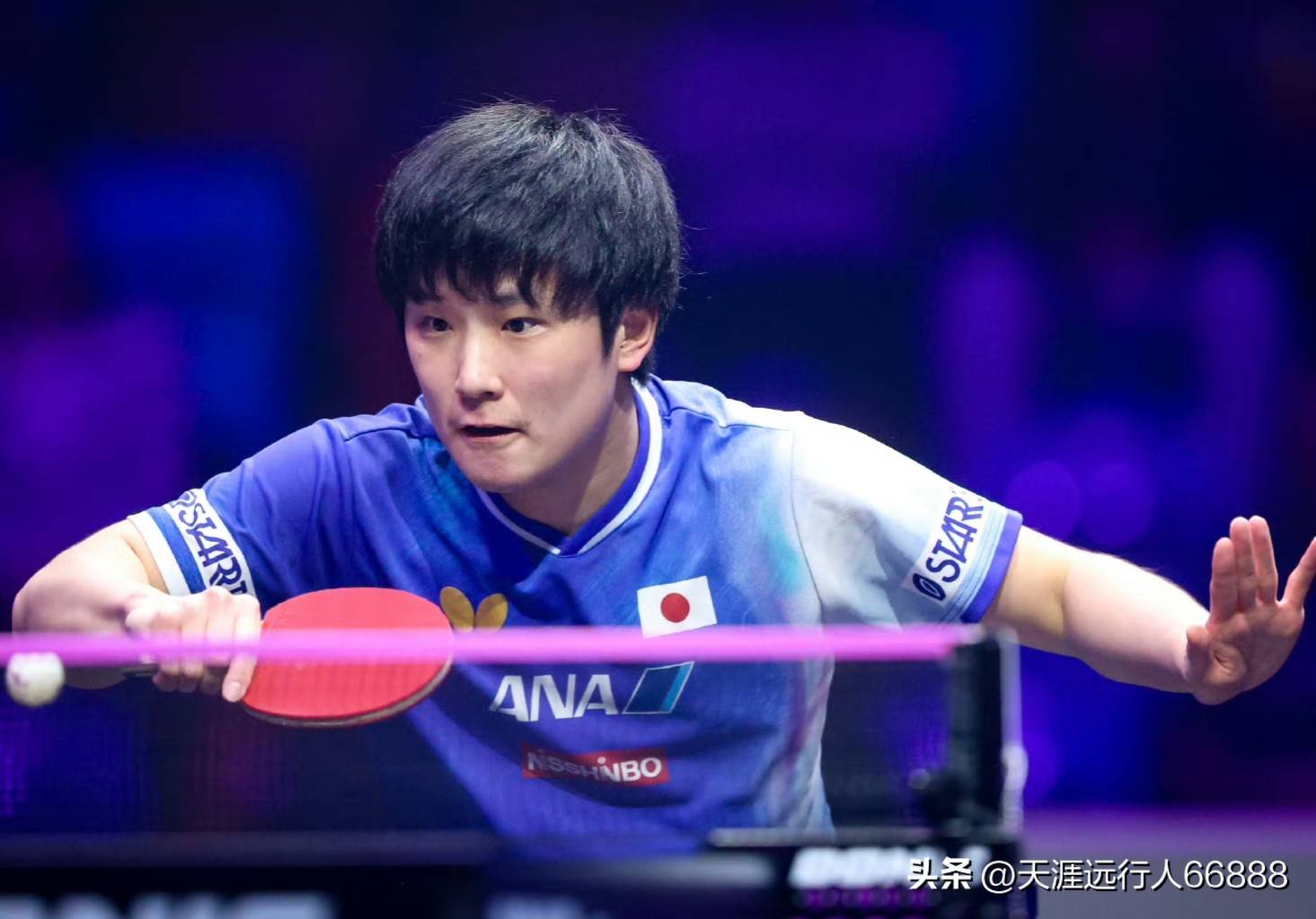 德国队碾压瑞典队，张本智和点燃赛场