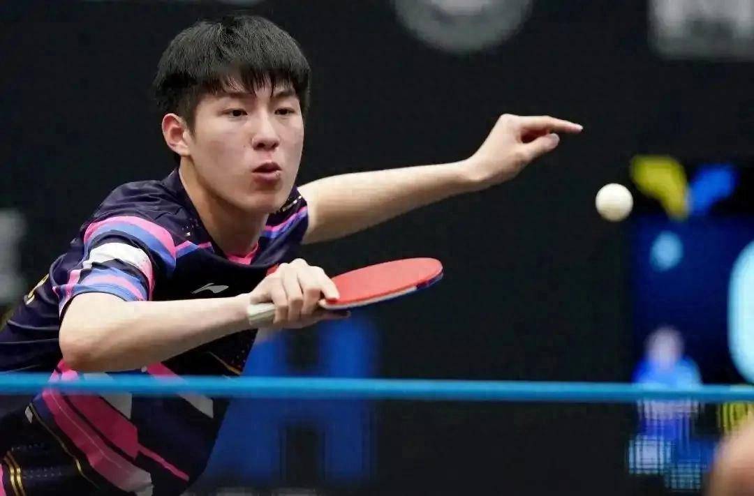 波兰队险胜瑞典队,张本智和刷新纪录 波兰队险胜瑞典队,张本智和刷新纪录